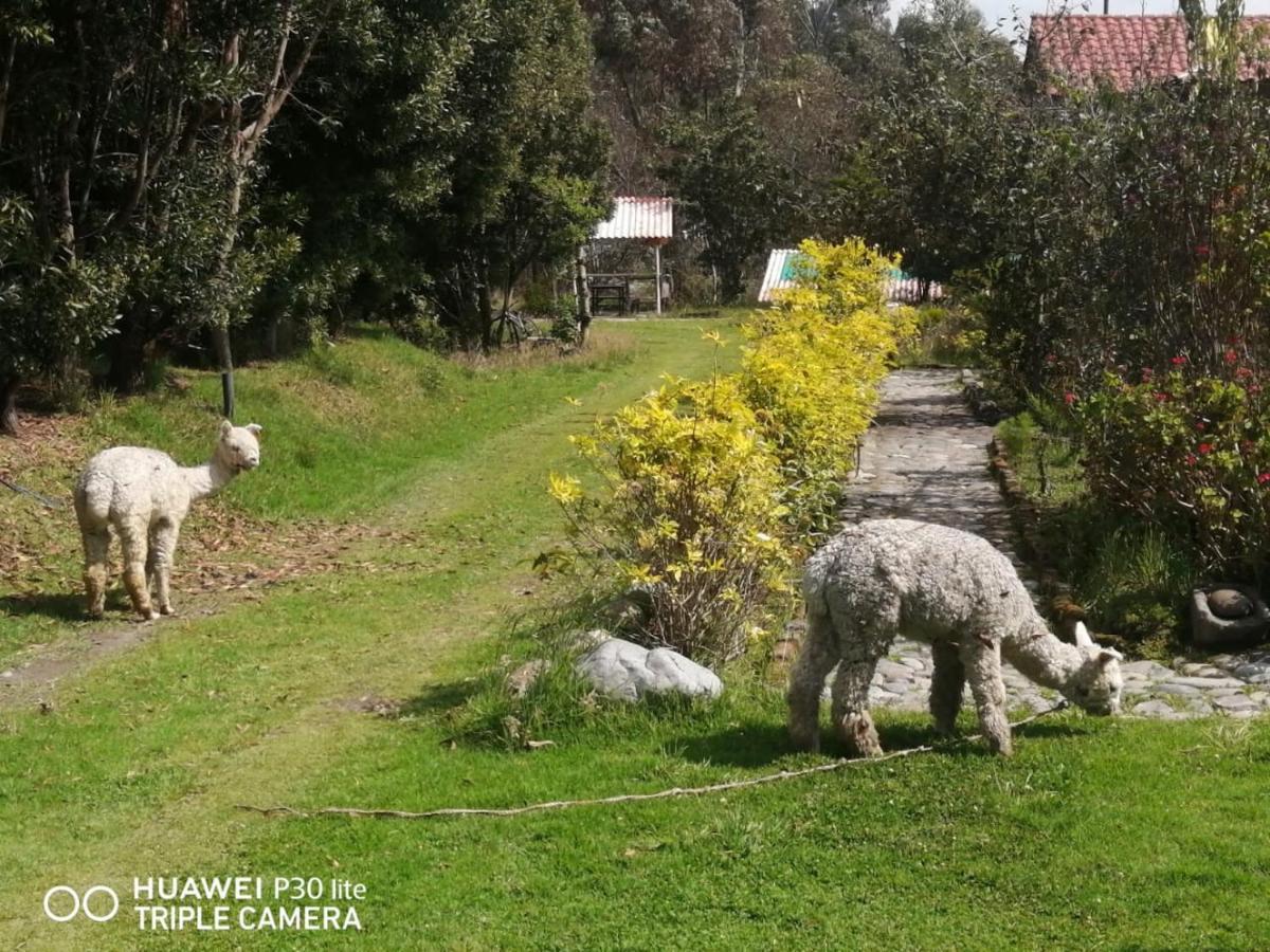 Hostal El Vaquero Chugchilan ภายนอก รูปภาพ